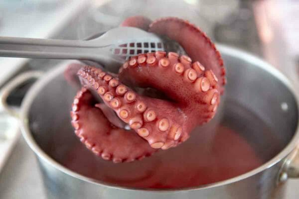 Octopus Carpaccio Recipe