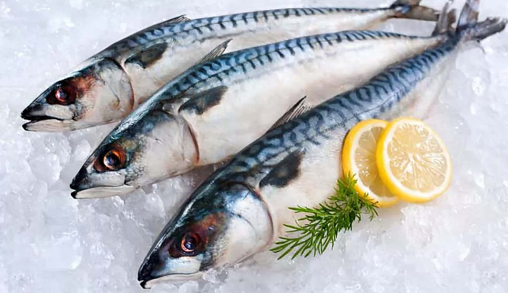 Stuffed Mackerel Recipe - Mackerels
